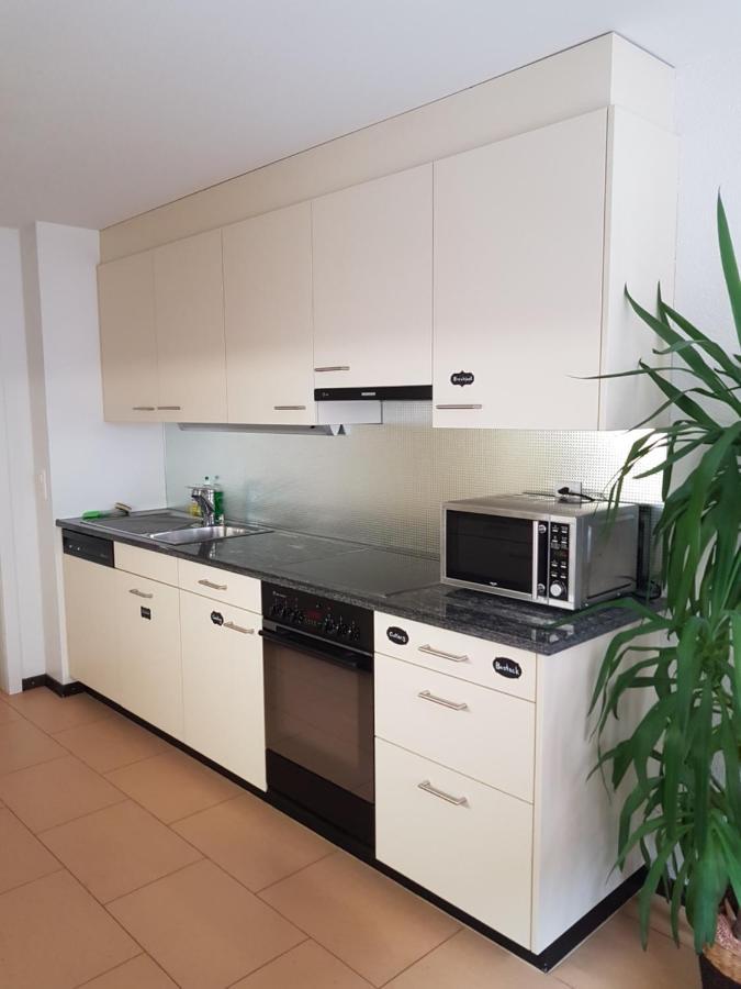 Eglisau Rhii B&B מראה חיצוני תמונה
